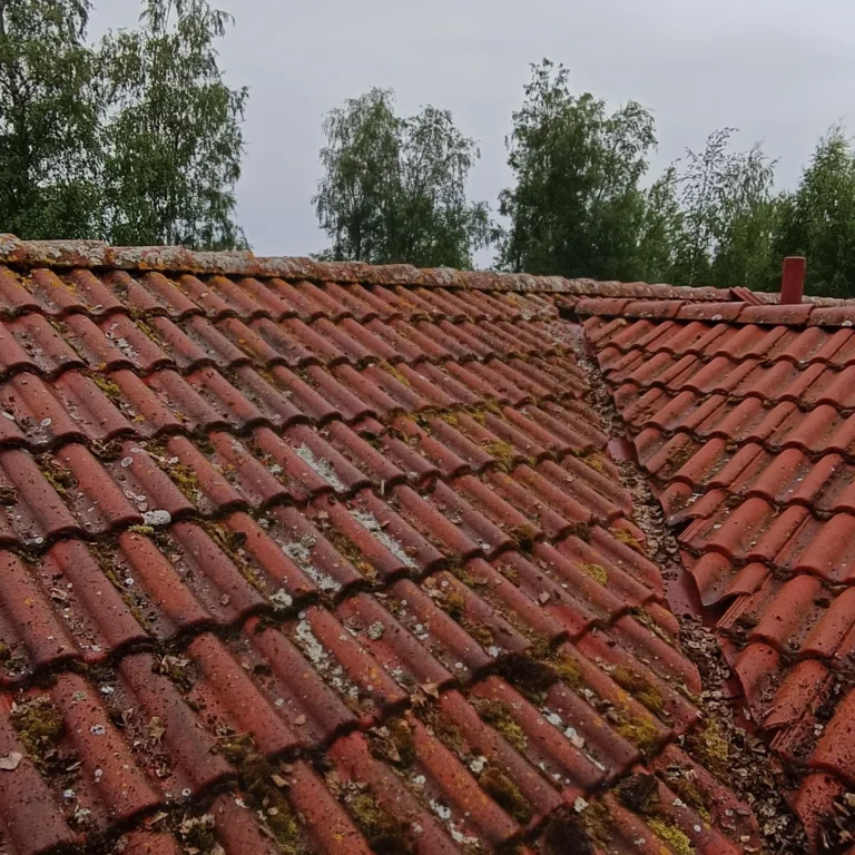 Sammaleen poisto katolta kannattaa tehdä säännöllisesti